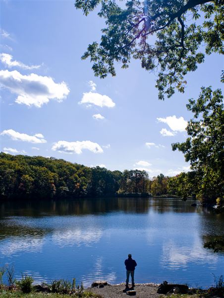 Silas Condict Park