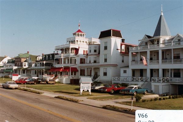 Cape May Painted Ladies