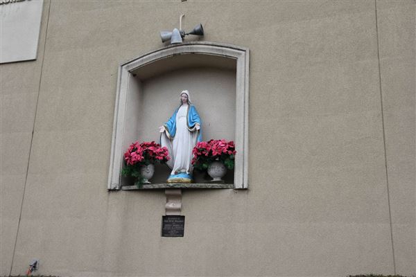 Knights of Columbus Msgr. John M. Walsh Council 5437