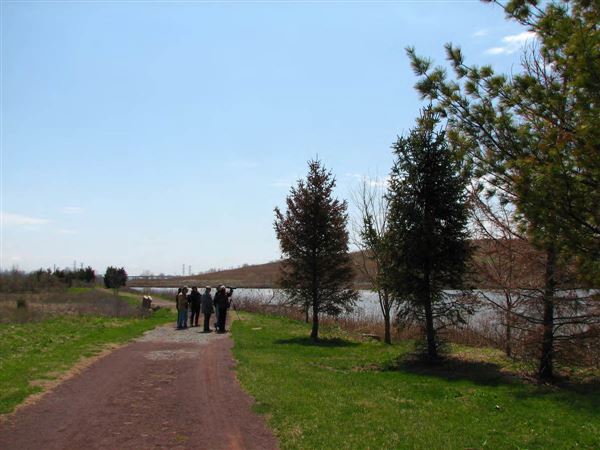 Harrier Meadow (New Jersey Meadowlands Commission)