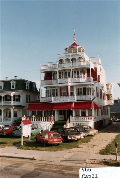 Cape May Painted Ladies