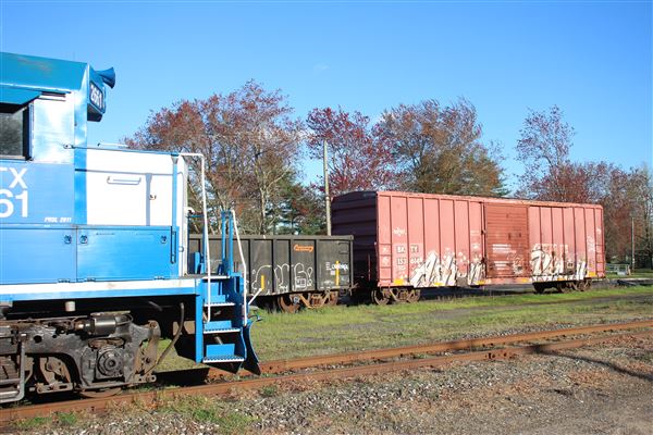Cape May Seashore Lines