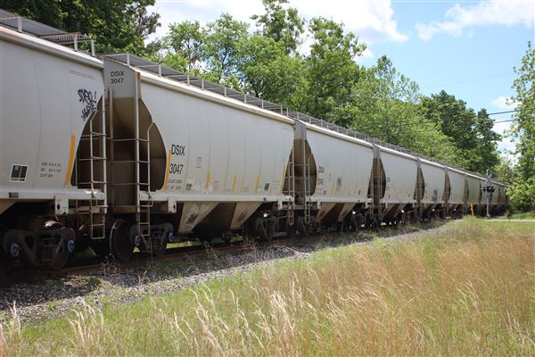 Cape May Seashore Lines